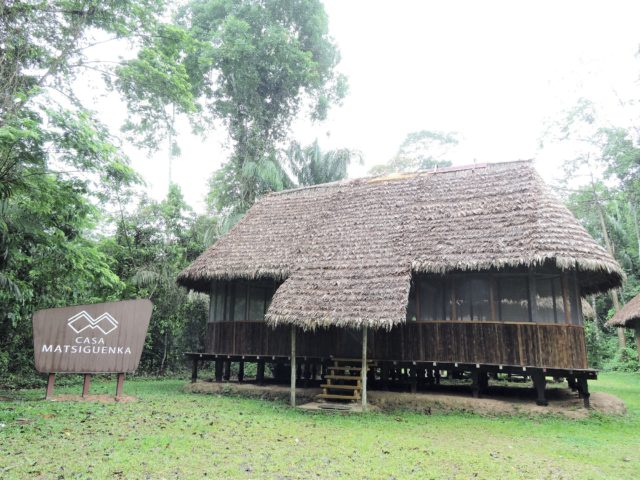 Starting in Cuzco, we will drive to the Purus River and begin our exciting adventure! We will explore the various rainforests and habitats in the park, observing a wide variety of unique bird species, colorful frogs, reptiles, and exotic mammals. We'll also visit remote tribal villages, and learn about their traditional way of life. 