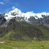 Birding at Abra Malaga Peru, mountain glacier