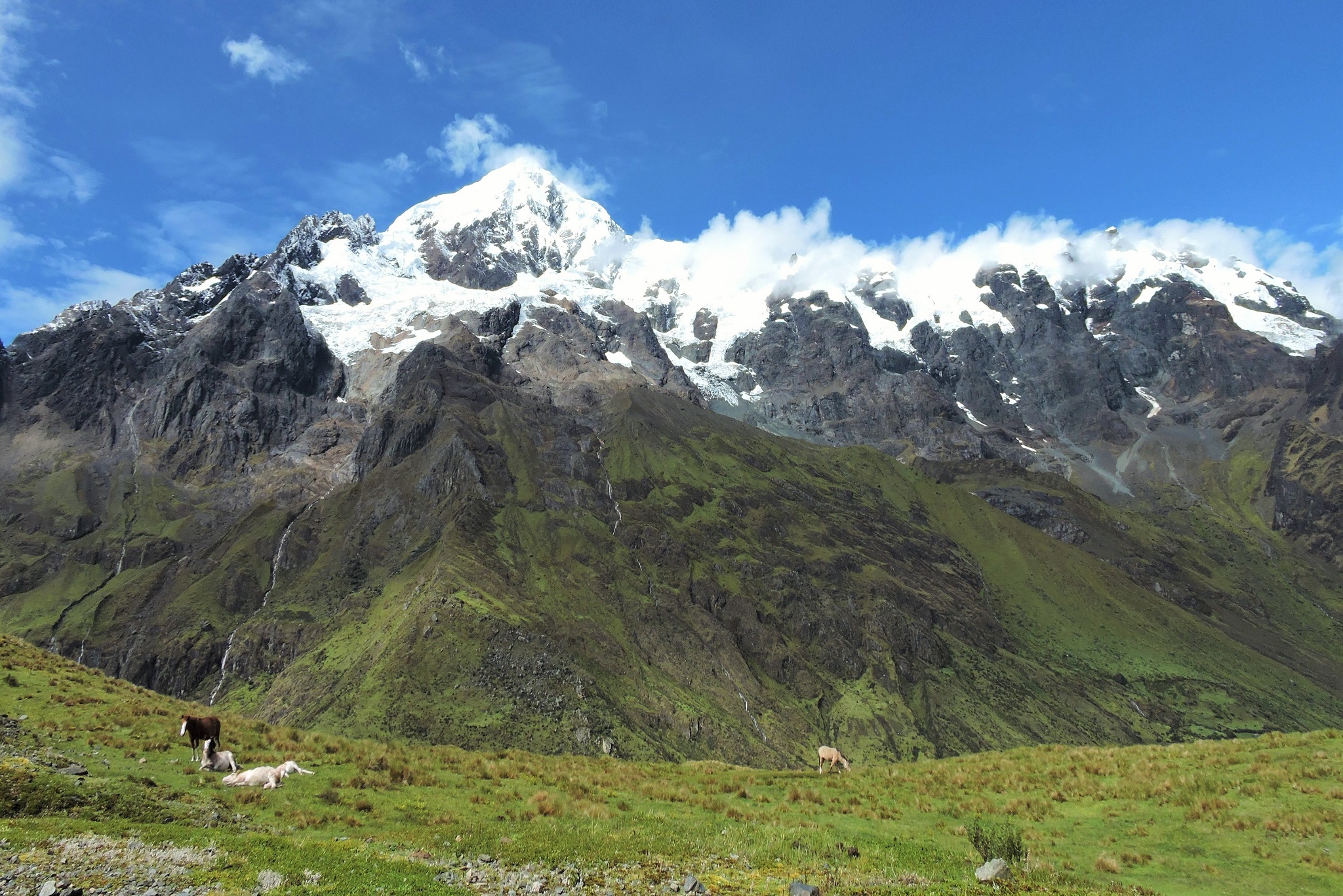 Birding at Abra Malaga Peru, mountain glacier