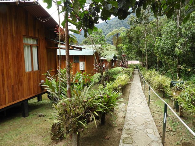 a walkway leading to a house