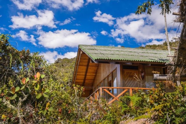 Best Birding Lodges in Peru - Wayquecha in the upper cloud forest 