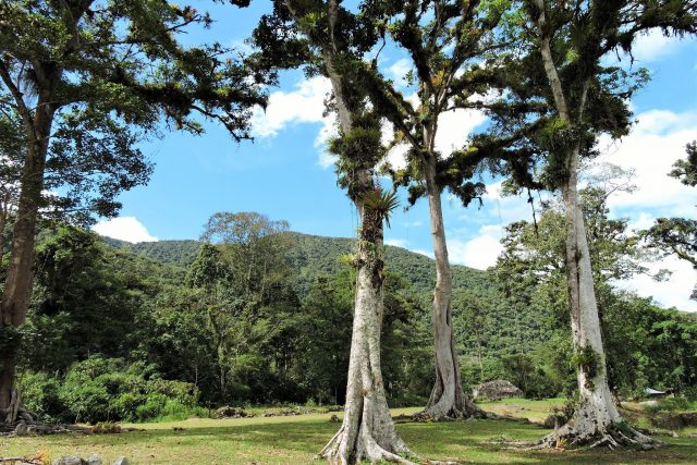 espiritu pampa -manu national park tours