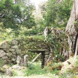 Espiritu Pampa Expedition