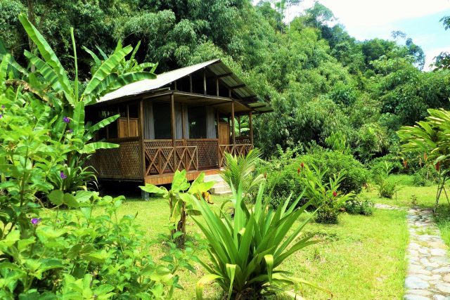 Guadalupe Lodge - Amazon Wildlife Experience