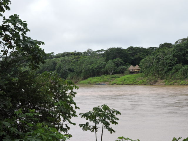 Tambopata 3 Days Tour