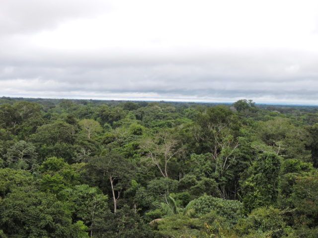 Into the Heart of the Amazon 4 days