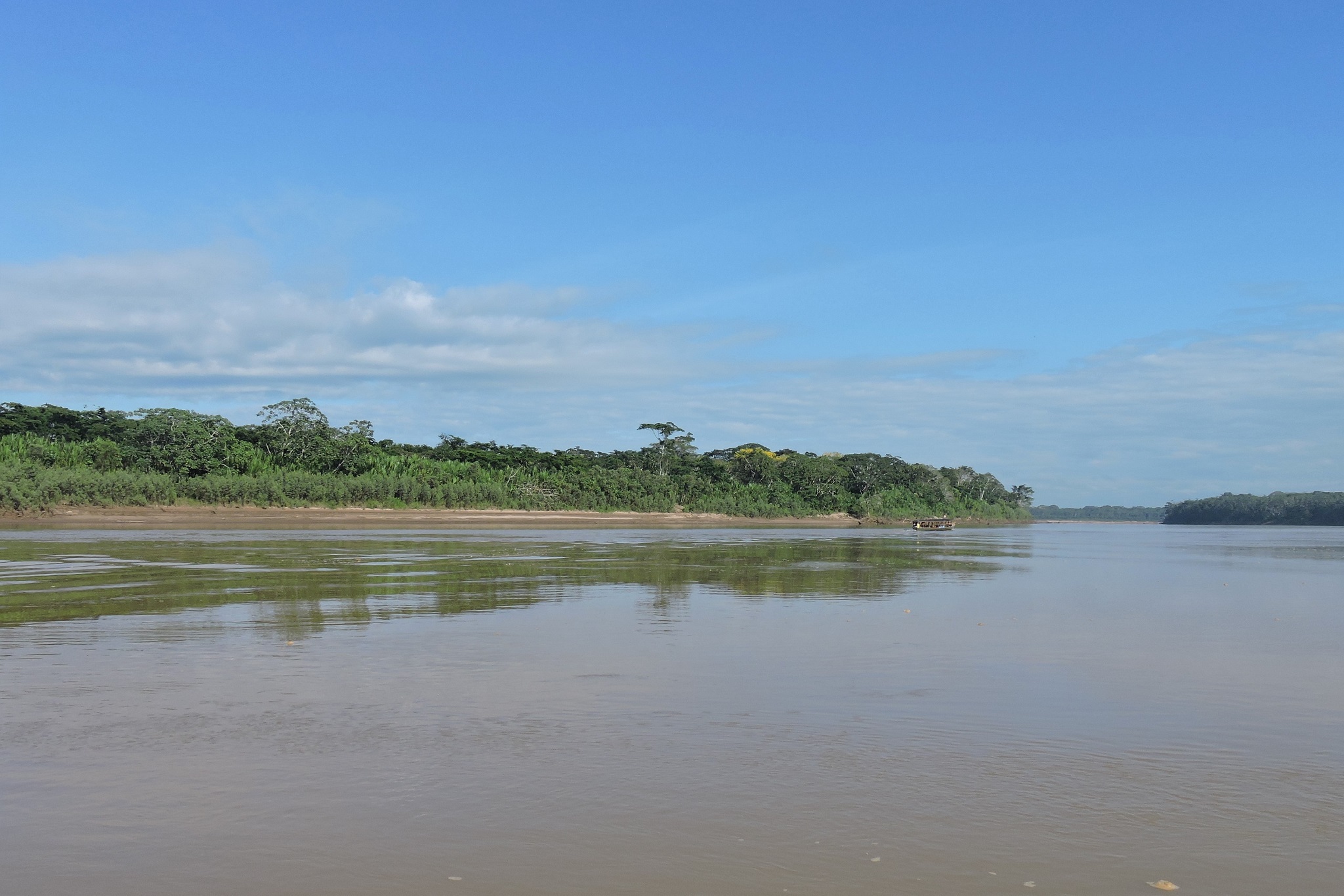 amazon budget tour peru - Tambopata