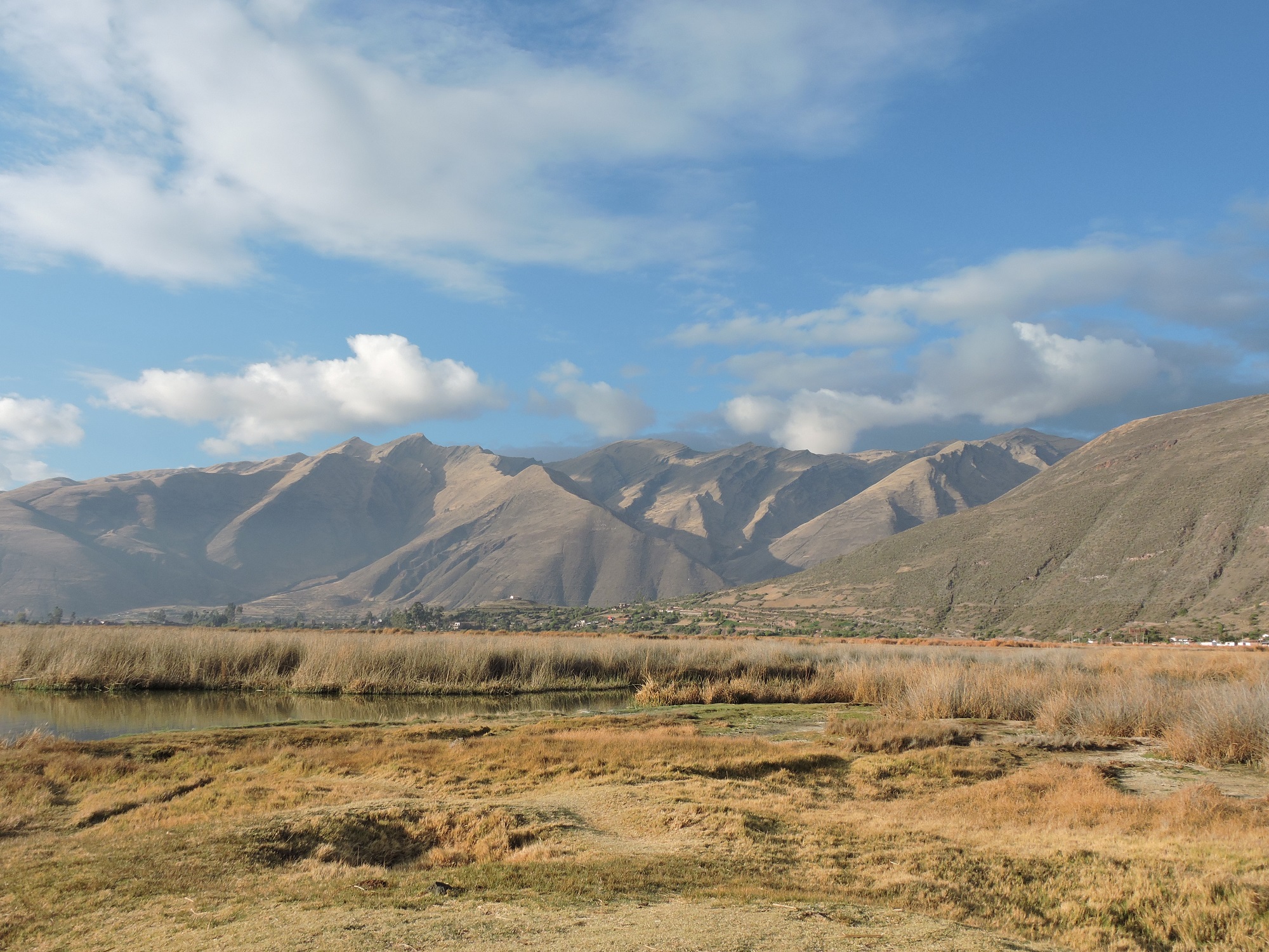 Birding at Huacarpay Lake in Cusco is not just a hobby; it's an immersive experience in one of the most biodiverse regions of Peru. Whether you're capturing the vibrant colors of a hummingbird or observing the graceful flight of a heron, Huacarpay Lake offers unforgettable moments for every bird enthusiast. Pack your binoculars and embark on a birding adventure that connects you with nature in a profound and memorable way.