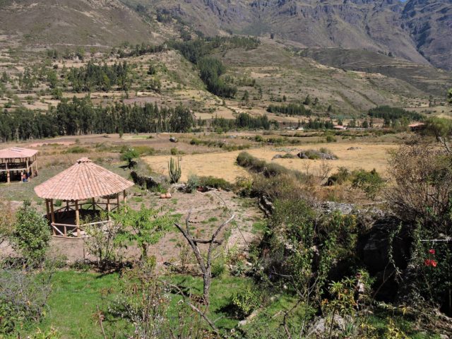 Birding in Cusco - Sacred Garden at San Salvador