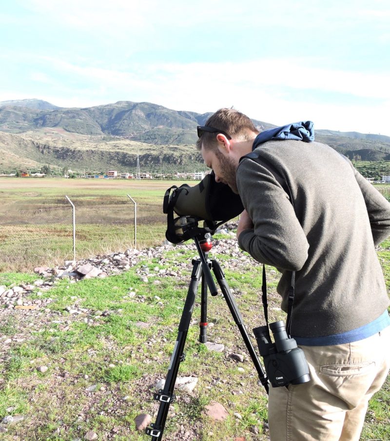 Quick Birdwatching Escape in Cusco - Morning Time!