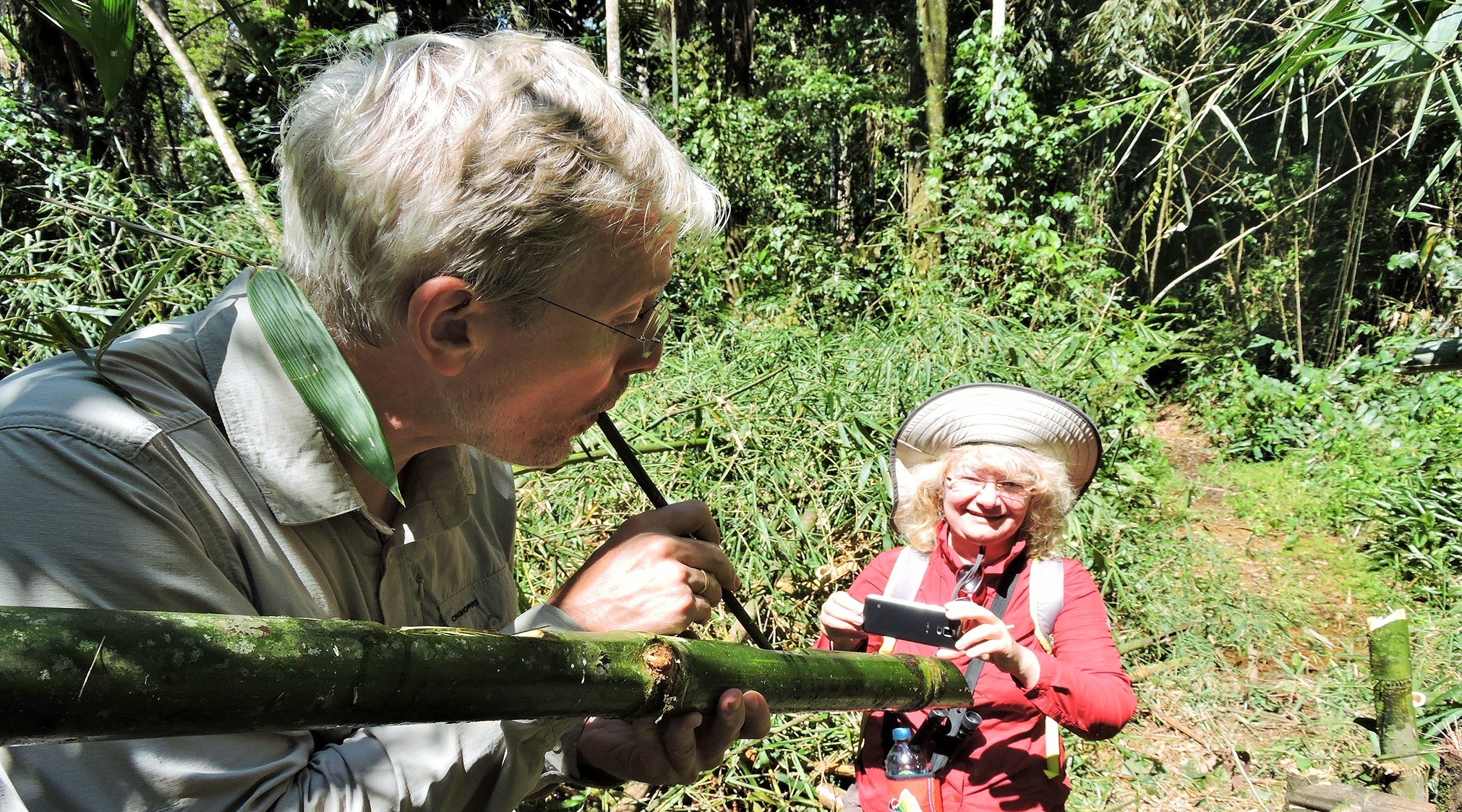 Drinking water from bamboo