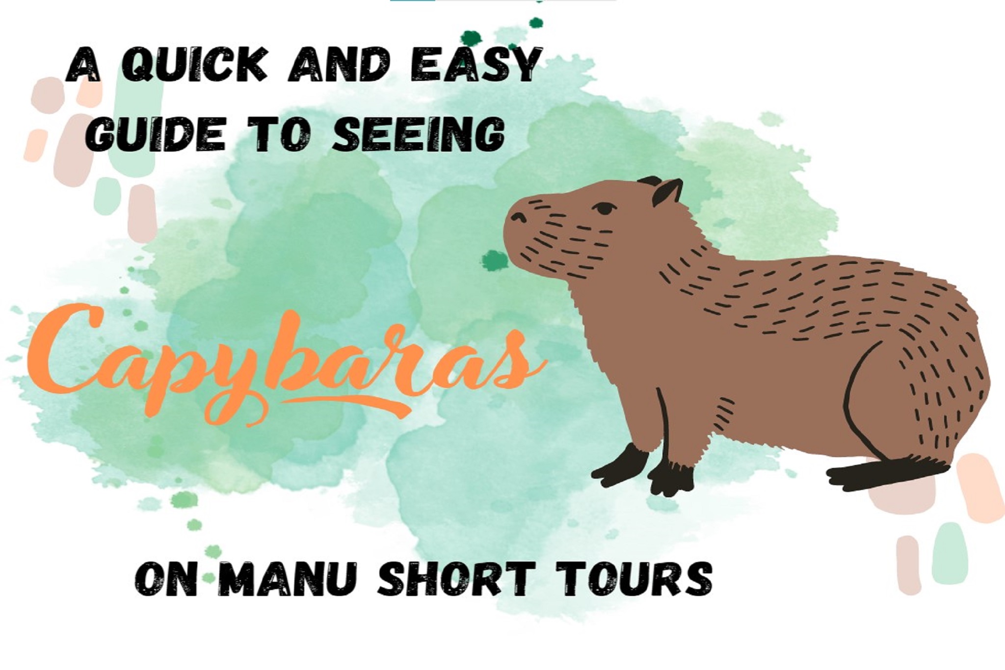 Capybaras in Manu -best local guide tips to find them on short tours to manu National park - Peru