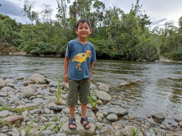 Top 10 Things to Do in Manu with Kids - Peru Jungle