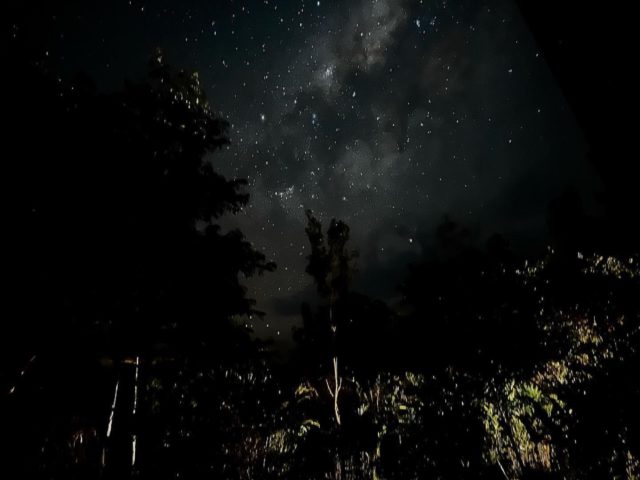 Top 10 things to do in Manu with Kids