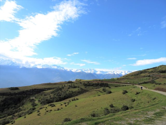 Condor Watching Tour in Cusco
