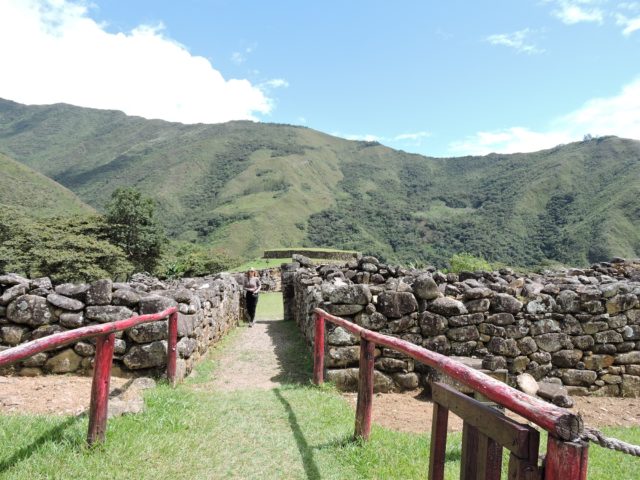 best peru birding tours