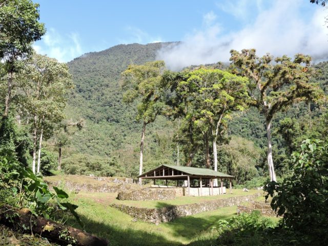 Best Peru Birding Tour 