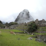 BEST PERU BIRDING TOUR -Birdwatching at Machupicchu
