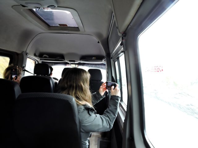 Are you wondering about the car drive to Manu Park? Thanks to the recent construction of a new paved road, the travel time has been significantly reduced. The journey now typically takes around 6 hours, making it much more accessible to visitors. With less time on the road, you can spend more time enjoying the stunning landscapes, incredible wildlife, and unique experiences that await you in this remote and biodiverse region of Peru. Whether you're a nature lover, wildlife enthusiast, or simply seeking a remote and off-the-beaten-path adventure, Manu Park has something for everyone. The new paved road has made the journey more convenient than ever, allowing you to pack your bags and embark on an unforgettable trip to this one-of-a-kind destination with ease. Plan your visit to Manu Park today and experience the wonders of this incredible destination firsthand.