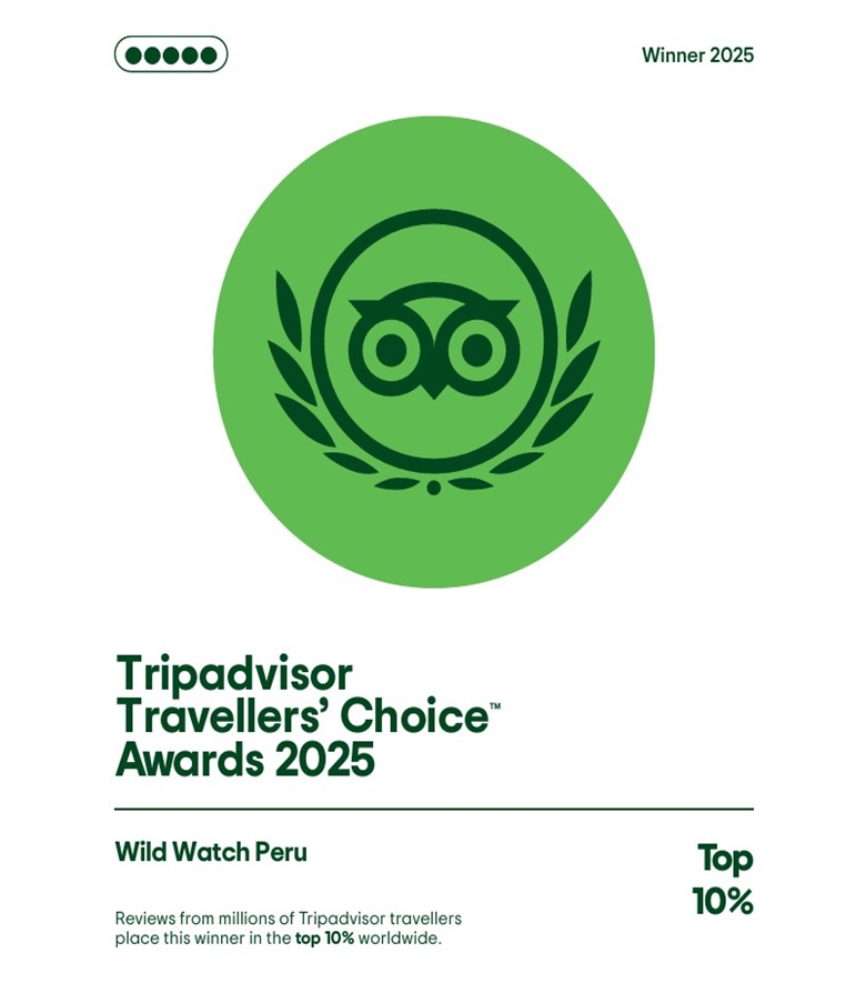 Trip Advisor Rewards 2025