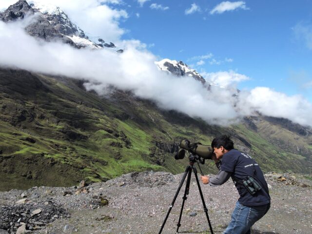 If Not Birding in Manu, Where Should I Go?